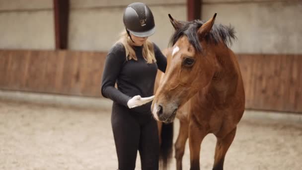 Woman In Riding Gear Stroking Horse's Mane — Stock Video