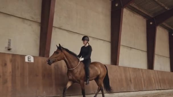 Junge Frau reitet Pferd bareback im Paddock — Stockvideo
