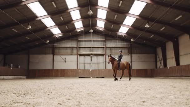 Nő lovaglás Ló csupasz csupasz Állva Paddock — Stock videók