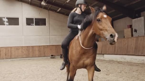 Jonge vrouw paardrijden in Paddock — Stockvideo