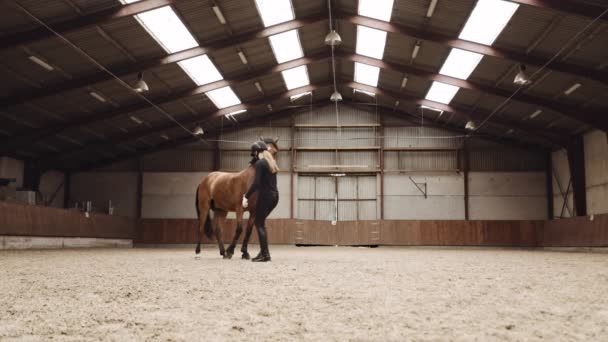 Jonge vrouw voedt paard in paddock — Stockvideo