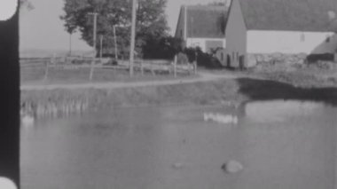 Retro 8 mm 'lik siyah beyaz film, sazlıklar ve ağaçlar arasında yüzen ördeklerle sakin bir göl kenarı ambarını ön plana çıkarıyor.