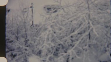 Karlı bir kış manzarası, 8 mm 'lik karla kaplı ağaçlar ve arka planda sakin ve soğuk bir görsel atmosferi olan bir ev ile görüntülenir..