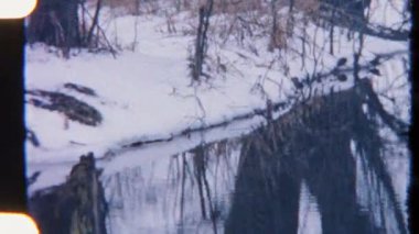 8 mm 'lik Retro film, sakin suya yansıyan karla kaplı orman ağaçlarını yakalıyor. Yumuşak film tanecikleri ve sessiz kış tonları nostaljik, huzurlu ve huzurlu bir doğal manzarayı çağrıştırıyor..
