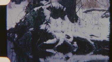 Sakin bir nehre yansıyan bir ağaçla karlı bir ormanı yakalayan 8mm 'lik Retro film. Kumlu dokusu ve sessiz kış tonları nostaljik, huzurlu ve huzurlu bir doğal manzarayı çağrıştırıyor..
