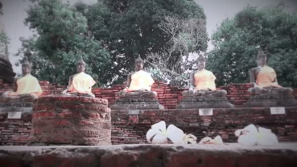 Dolly: Thai Buddha gyllene statyer — Stockvideo