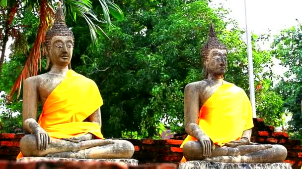 Dolly: Thai Buddha Golden Statues — Stock Video