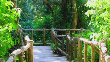 küçük ahşap köprü