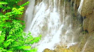 Tropikal yağmur ormanlarında şelale