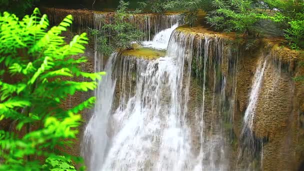 Vodopád v deštném pralese — Stock video