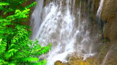 Tropikal yağmur ormanlarında şelale