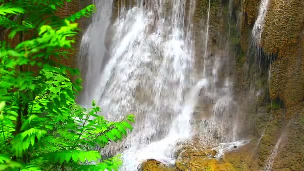 Waterfall in tropical rain forest — Stock Video