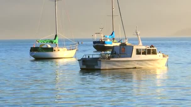 Yates de lujo en la bahía de corsario — Vídeos de Stock