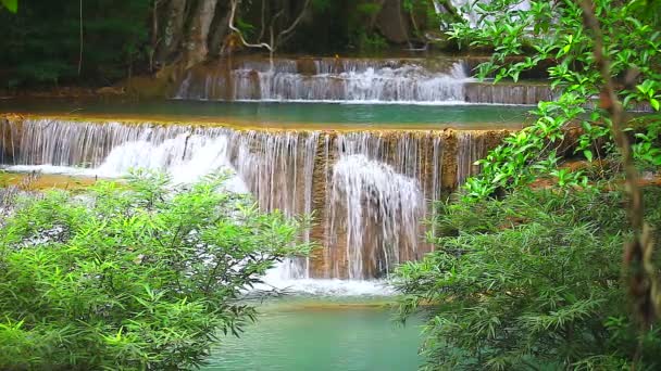 Водопад в тропических дождевых лесах — стоковое видео