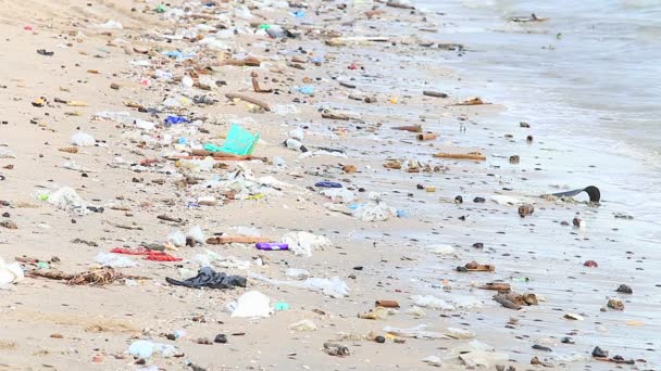 모래 해변에 쓰레기 — 비디오