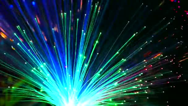 Bunch of fibre optic dynamic — Stock Video