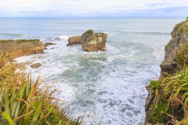 Kayalar Punakaiki gözleme