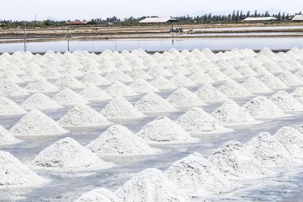 Heaps of sea salt — Stock Photo, Image