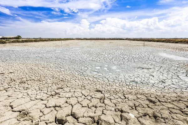 Large field of baked earth — Stock Photo, Image