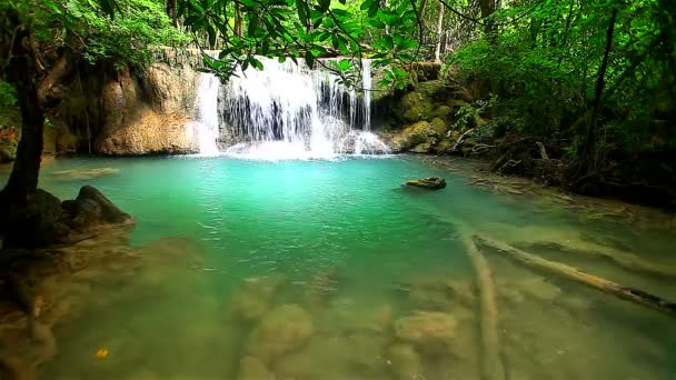 Árboles verdes y río que fluye — Vídeo de stock