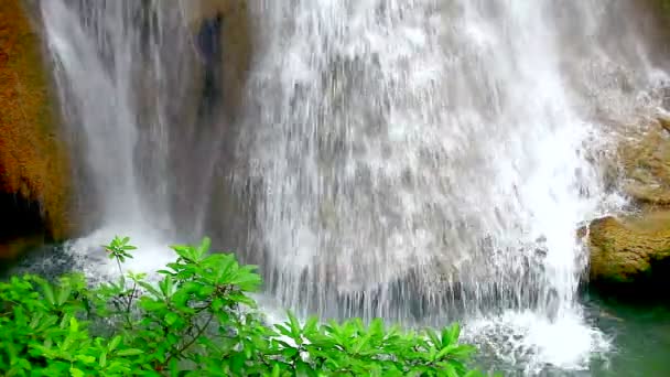 Waterfall flows in river — Stock Video