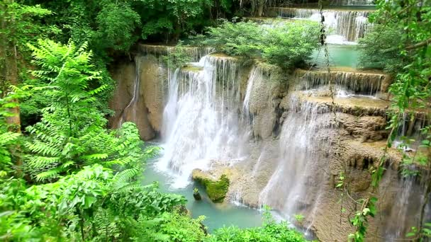 Cachoeiras na floresta verde — Vídeo de Stock