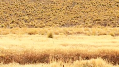 Aoraki Mount Cook vadiler