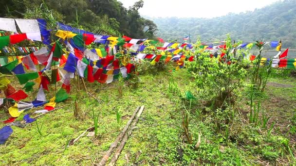 Buddhist prayer flags blowing in the wind — Stock Video