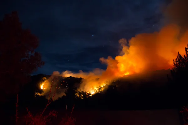 Incendio boschivo in California Immagine Stock