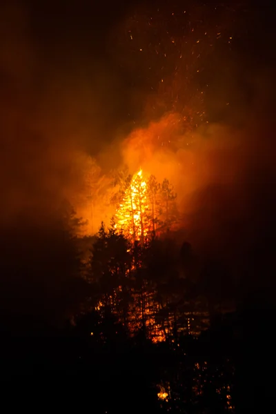Incendio boschivo in California Fotografia Stock