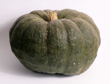 Cadılar Bayramı için yeşil kabak