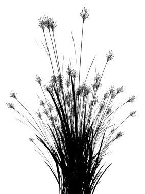 Alan çim izole beyaz bir arka plan üzerinde