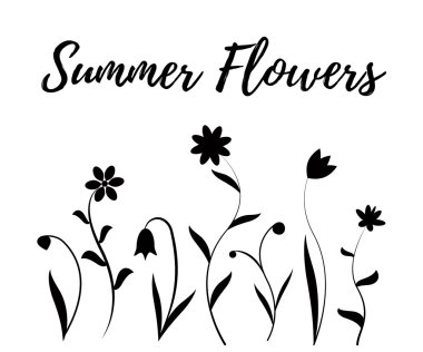 Siyah beyaz yaz çiçek