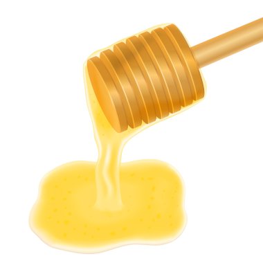 ahşap bal ayı damlayan bal