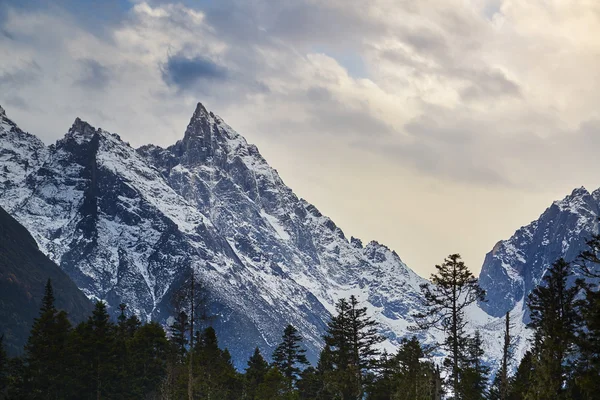 Montagna di neve di sichuan — Foto Stock