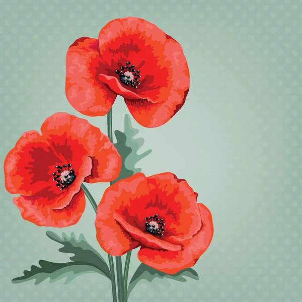 Tarjeta de invitación o boda con fondo floral abstracto. Amapolas rojas . — Vector de stock