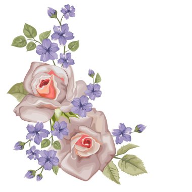 Güzel gül beyaz izole. Mükemmel arka plan tebrik kartları ve davetiyeler düğün, doğum günü, Sevgililer günü, anneler günü.