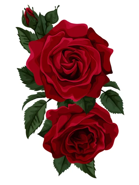 Rose rouge isolée sur blanc. Parfait pour les cartes de voeux de fond et les invitations du mariage, anniversaire, Saint Valentin, fête des mères . — Image vectorielle