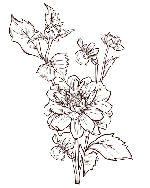 Vector bloem geïsoleerd op een witte achtergrond. Handgetekende dahlia bloem. — Stockvector