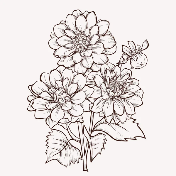 Vector bloem geïsoleerd op een witte achtergrond. Handgetekende dahlia bloem. — Stockvector