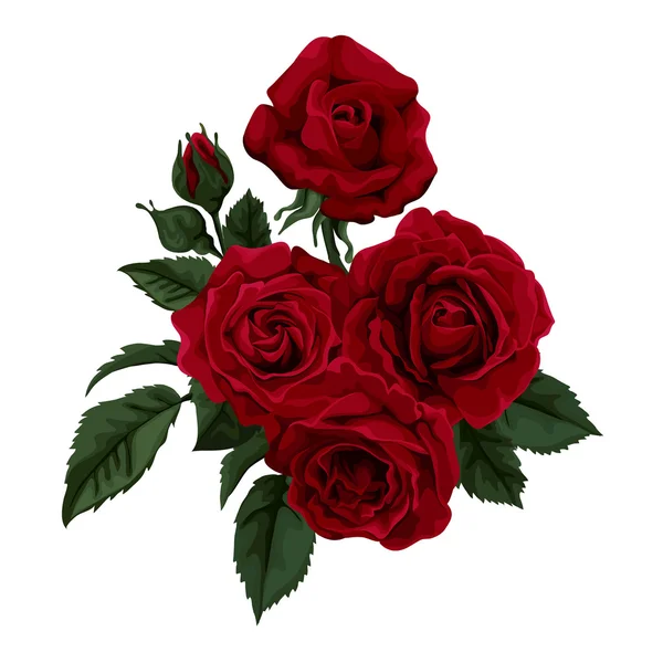 Rose rouge isolée sur blanc. Parfait pour les cartes de voeux de fond et les invitations du mariage, anniversaire, Saint Valentin, fête des mères . — Image vectorielle