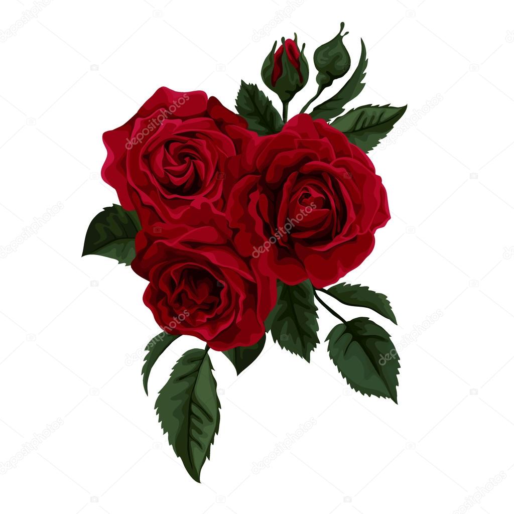 Birthday greeting and a bouquet of red roses Vector Image