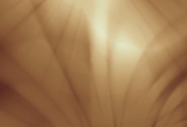 Parlak dalga soyut şablon web zemin