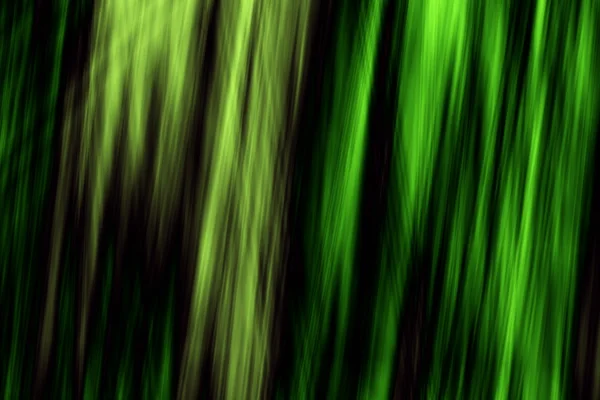 Groene eco gras abstracte moderne jungle illustratie — Stockfoto