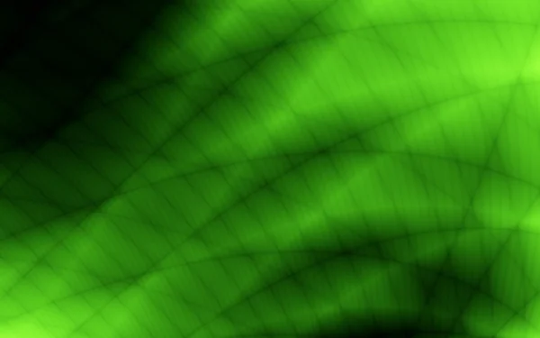 Verde eco card abstrato folha web pano de fundo — Fotografia de Stock