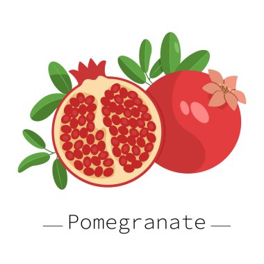 Olgun bir narın meyveleri. Hedef, yarısı, meyve ve nar tohumları beyaz arka planda izole edilmiş. Çeşitli ürünlerin, meyve sularının, kozmetik ürünlerinin tasarımı için resim
