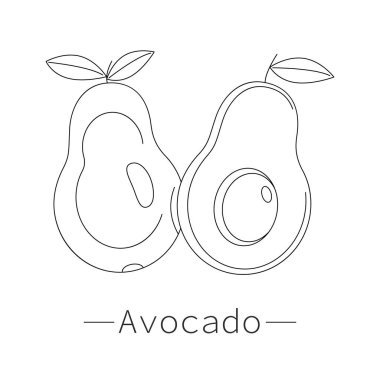 Avokado meyvesi, yarım avokado. Doğrusal sanat tarzında bir illüstrasyon. Vektör illüstrasyonu.