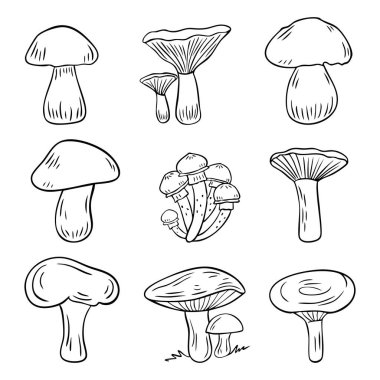 Set of hand drawn mushroom line art illustrations. Forest fungi doodles isolated on white background. Perfect for coloring books, botanical designs, autumn themes, and icons.