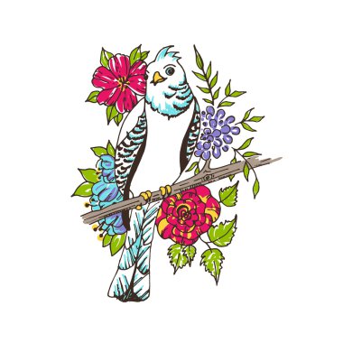 Vektör parrot çiçek arka plan üzerinde