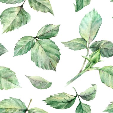 Çiçekli suluboya el rengarenk, parlak, pürüzsüz desen çizmiş.